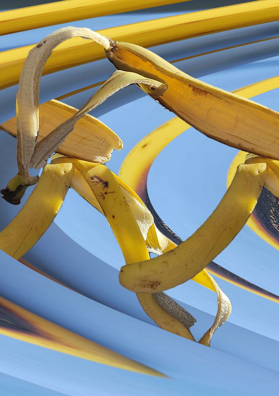 Banane, 2022