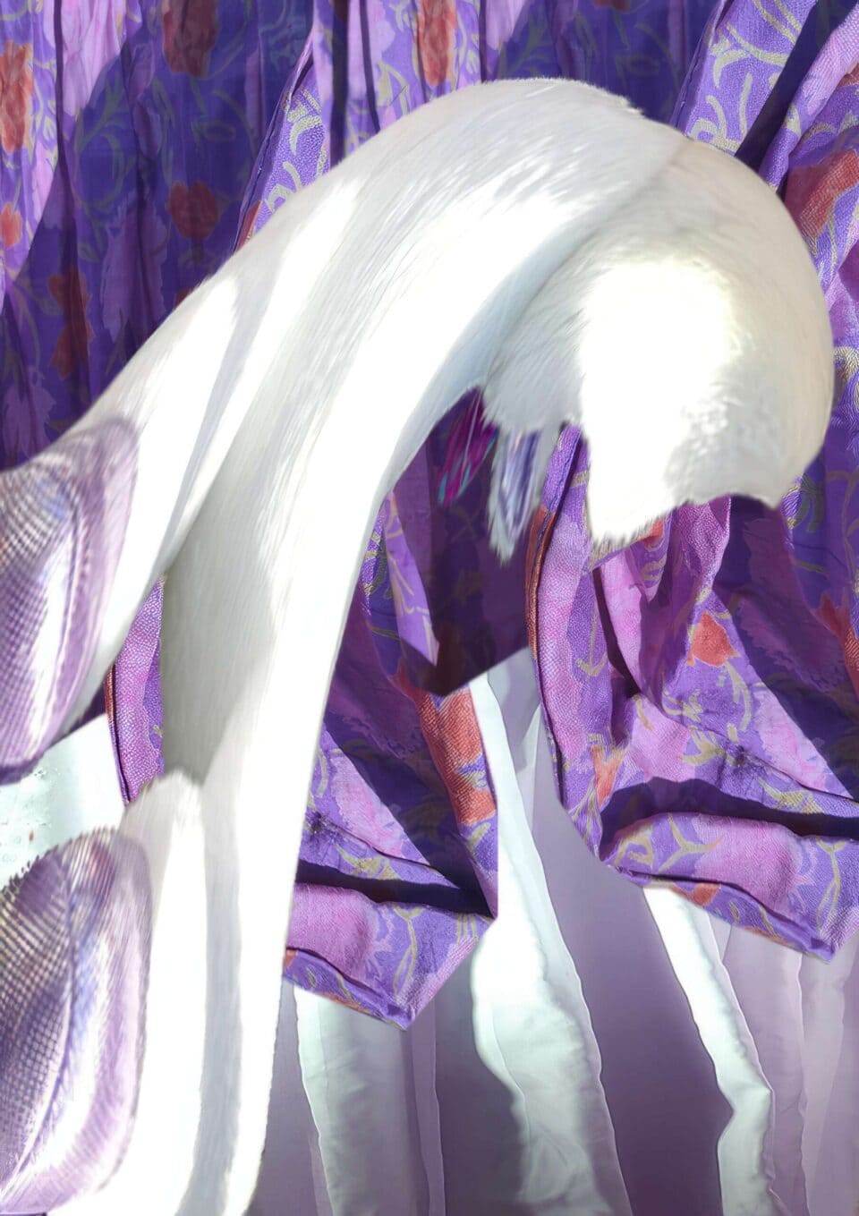 Licorne, 2022