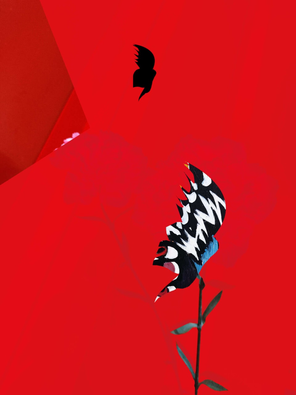 Papillons, 2022